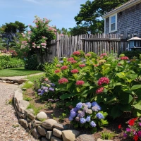 Tumbled Colonial Wallstone wallstone in a cape cod yard