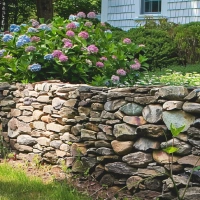 Pennsylvania Fieldstone Wall Stone in a cape cod yard